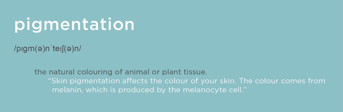 Image 1 Pigmentation - The Lab Sept 2022